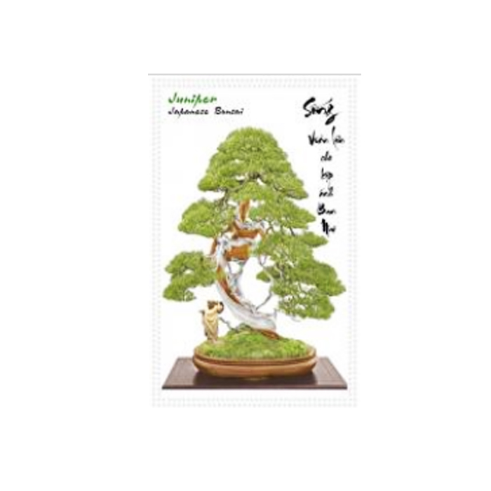 Gạch ốp trang trí cây Bonsai 30x45 TT1317