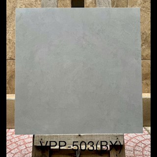 Gạch lát nền men mờ 600x600 HTP- VPP503