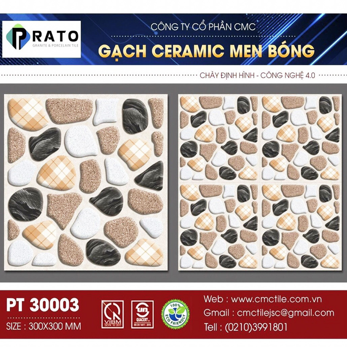 Gạch lát 30x30 NL -PT30003