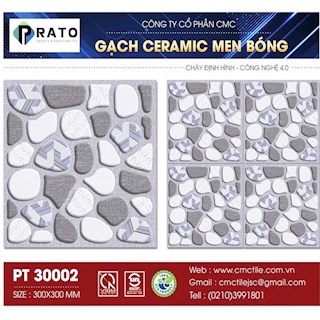 Gạch lát 30x30 NL -PT30002