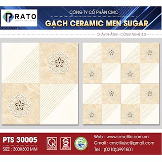 Gạch lát 30x30 NL -PTS30005