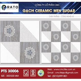 Gạch lát 30x30 NL -PTS30006