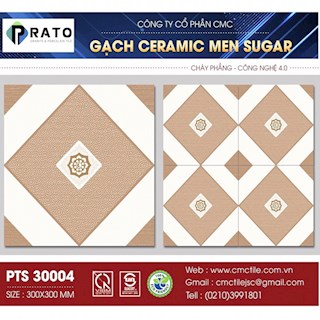 Gạch lát 30x30 NL -PTS30004