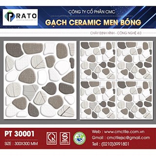 Gạch lát 30x30 NL -PT30001