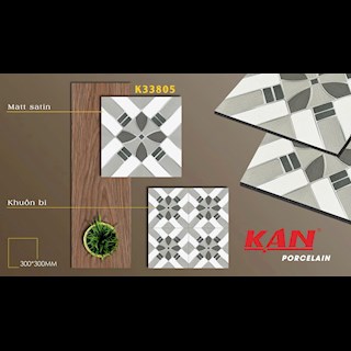 Gạch lát 300x300 Porcelain TK- K33805