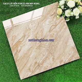 Gạch 60x60 đá bóng kính TK-FP6142