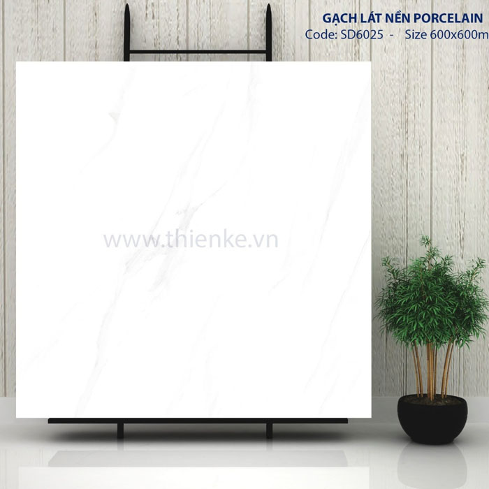 Gạch 60x60 đá bóng kính TK-SD6025