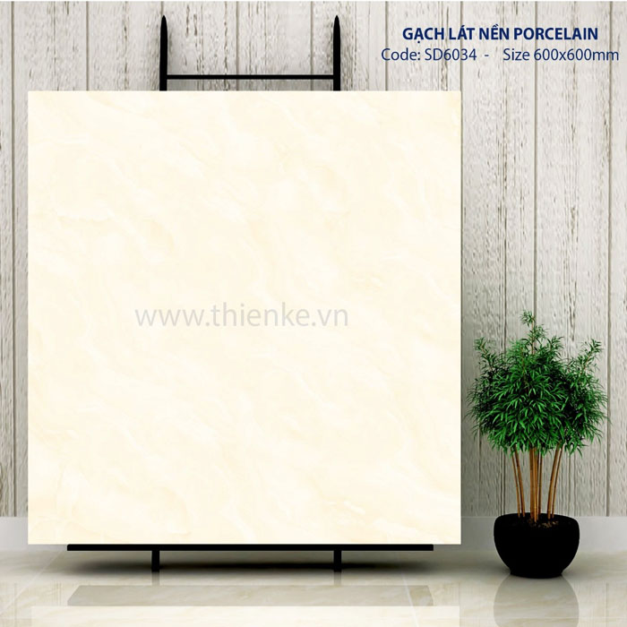 Gạch 60x60 đá bóng kính TK-SD6034