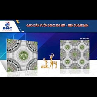 Gạch sân vườn 50x50 HA BNC 507