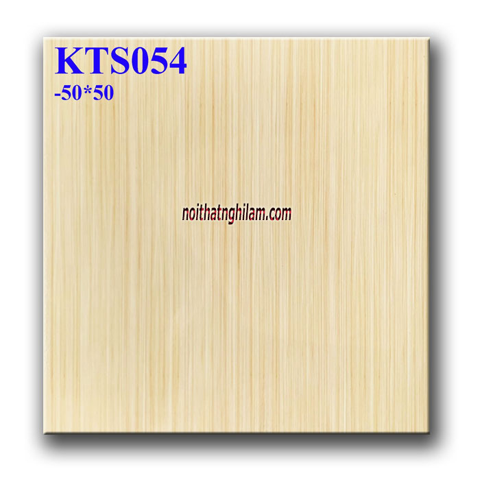 Gạch lát nền 50x50 TP-KTS054