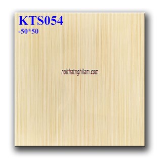 Gạch lát nền 50x50 TP-KTS054