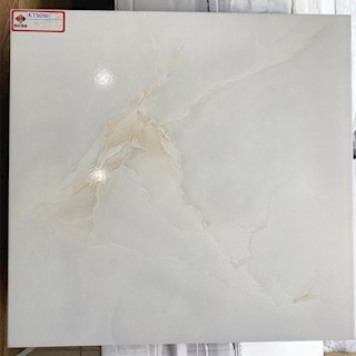 Gạch lát nền 50x50 TP-KTS050