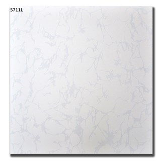 Gạch lát nền 50x50 TP-5711L