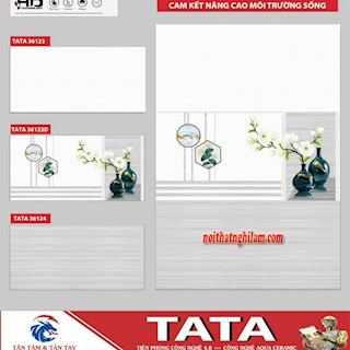 Gạch ốp tường TATA 30x60 36123