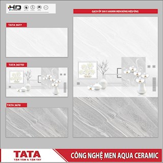 Gạch ốp tường TATA 30x60 3677-77D-78