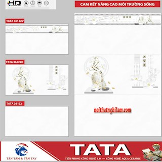 Gạch ốp tường TATA 30x60 36122