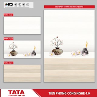 Gạch ốp tường TATA 30x60 3622- 23D- 24