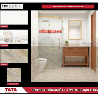 Gạch ốp tường TATA 30x60 3650- 51D- 52