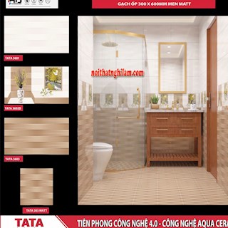 Gạch ốp tường TATA 30x60 3601- 02D- 03