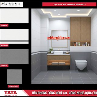 Gạch ốp tường TATA 30x60 3672