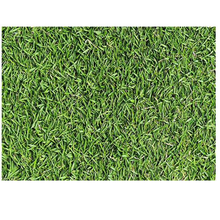 Gạch ốp tường Đồng Tâm 30x60 GREENERY001