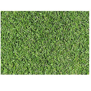 Gạch ốp tường Đồng Tâm 30x60 GREENERY001