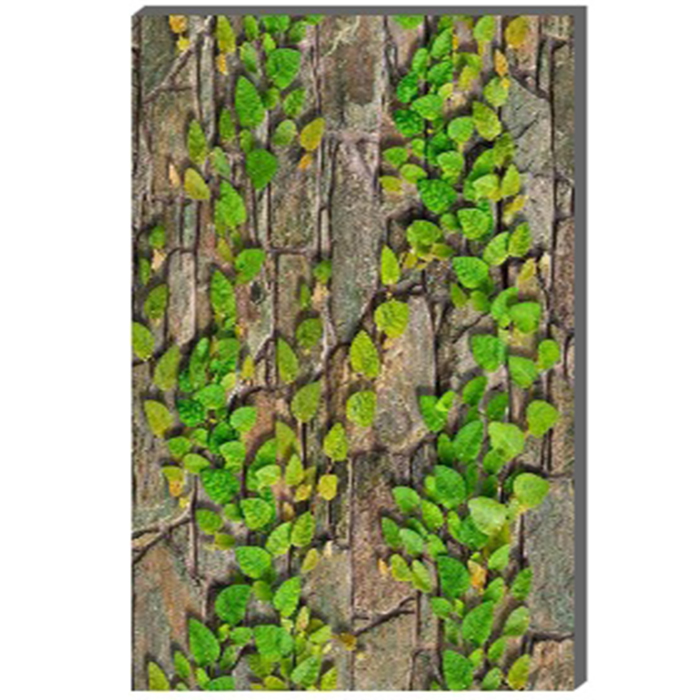 Gạch ốp tường Đồng Tâm 30x60 GREENERY004