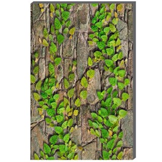 Gạch ốp tường Đồng Tâm 30x60 GREENERY004