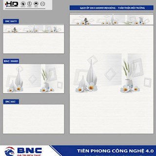 Gạch ốp tường 30x60 BNC 3665-66D-67V