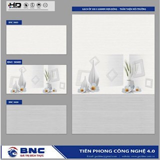 Gạch ốp tường 30x60 BNC 3665-66D-68