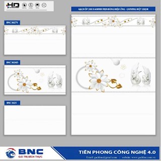 Gạch ốp tường 30x60 BNC 3625-26D-27