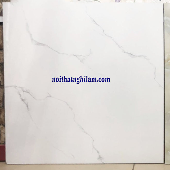 Gạch đá bóng kính 60x60 NL-6065