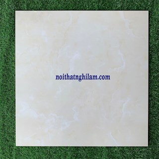 Gạch men bóng 60x60 NL-682