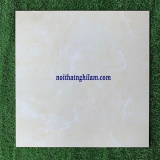 Gạch men bóng 60x60 NL-682