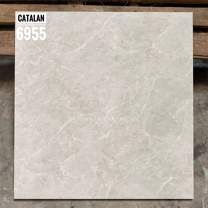  Gạch bóng kính Catalan 60x60 6955