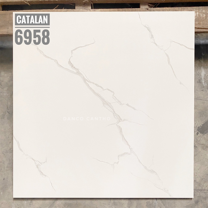  Gạch bóng kính Catalan 60x60 6958