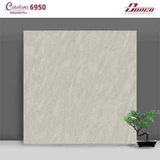 Gạch Catalan đá nhám sugar 60x60 6950