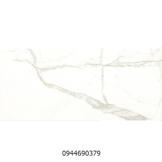 Gạch ốp tường Catalan 40x80 CTN 4806