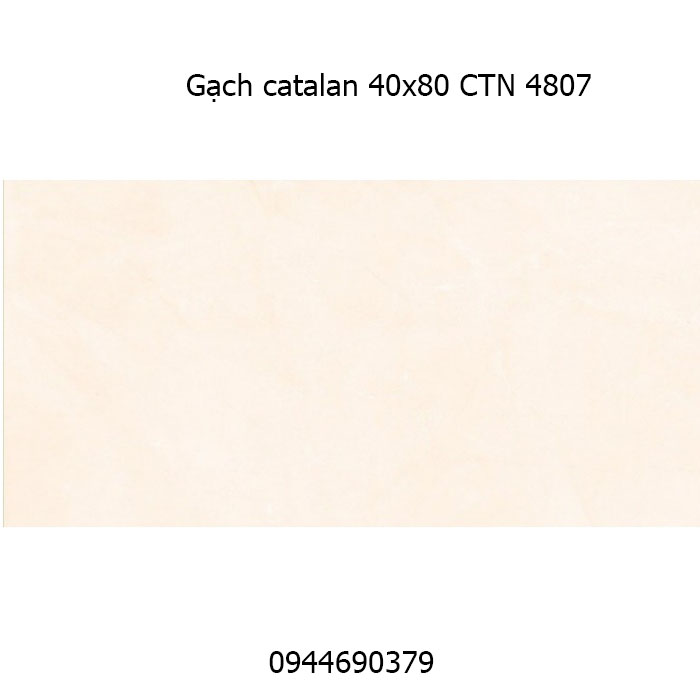 Gạch ốp tường Catalan 40x80 CTN 4807