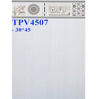 Gạch ốp Viglacera 30x45