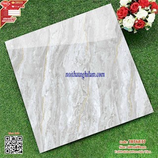 Gạch đá bóng kính 60x60 TT-TRT6837