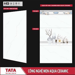 Gạch ốp tường 40x80 TATA 4801