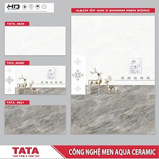 Gạch ốp tường 40x80 TATA 4820