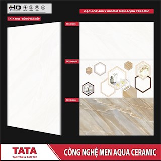 Gạch ốp tường 40x80 TATA 4805