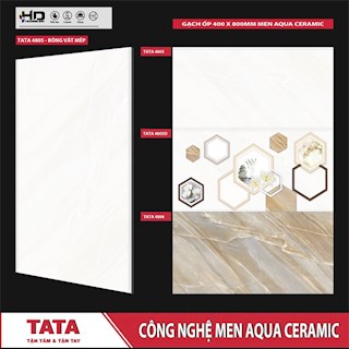 Gạch ốp tường 40x80 TATA 4805