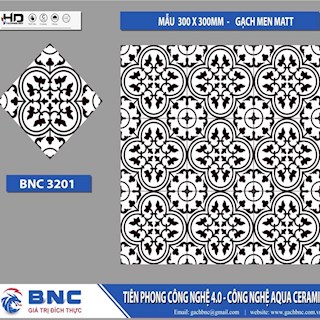 Gạch bông lát nền hoa văn 30x30 BNC 3201