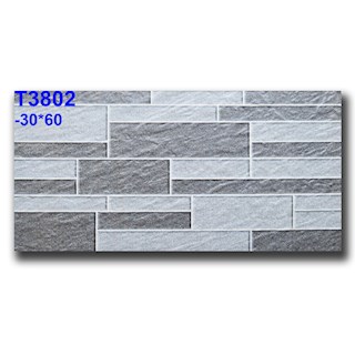 Gạch ốp trang trí giả đá 30x60 TP-T3802