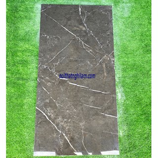 Gạch ốp tường Ấn Độ 60*120 AD28