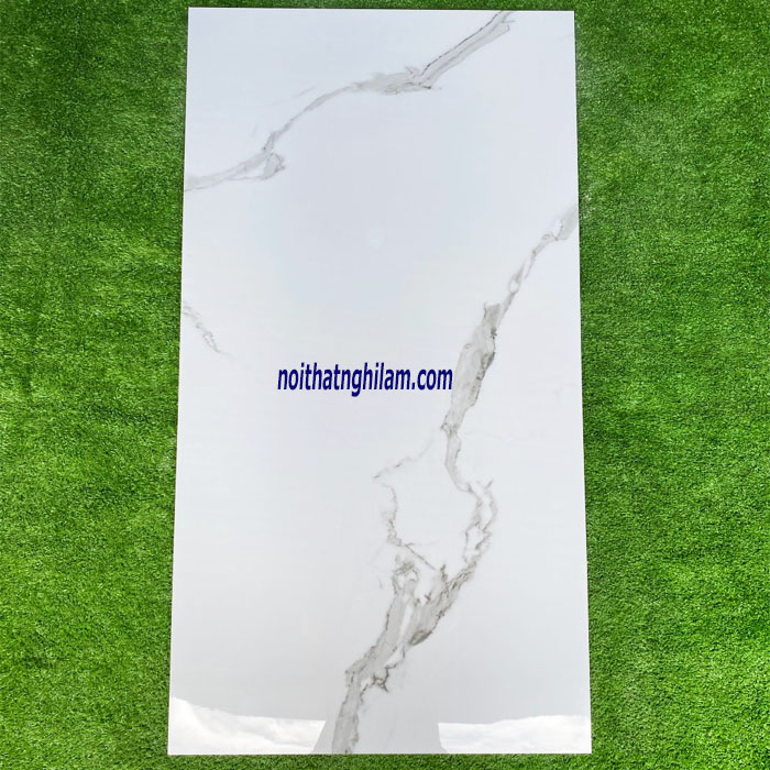 Gạch ốp tường Ấn Độ 60*120 AD16