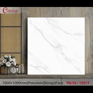 Gạch lát nền 100x100 Catalan 10015